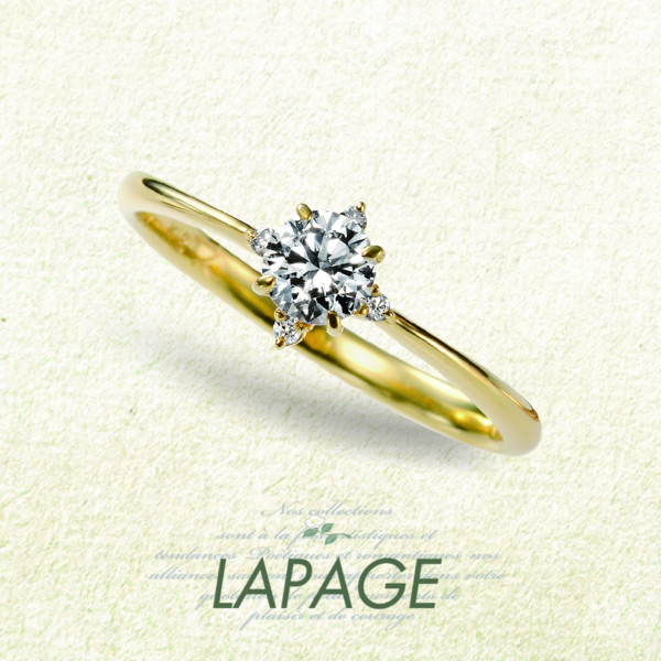 Lapage
Croix du Sud 南十字星