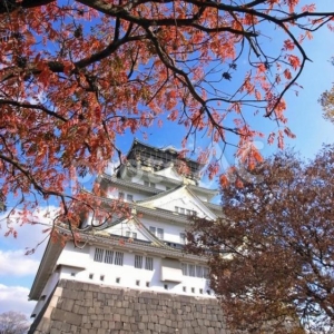 秋の公園プロポーズなら大阪城がオススメ