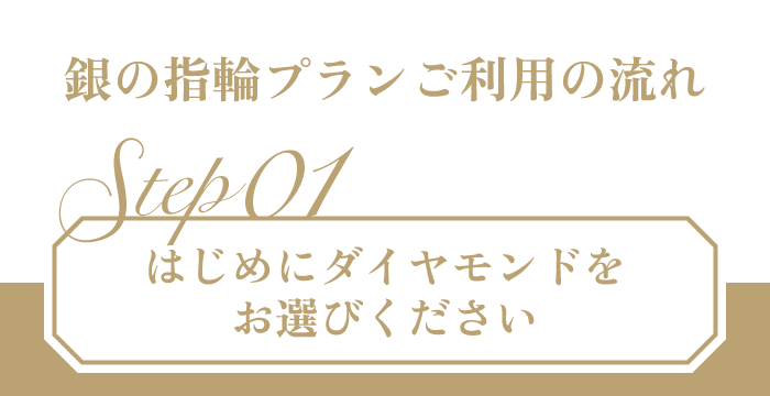 銀の指輪プランご利用の流れ