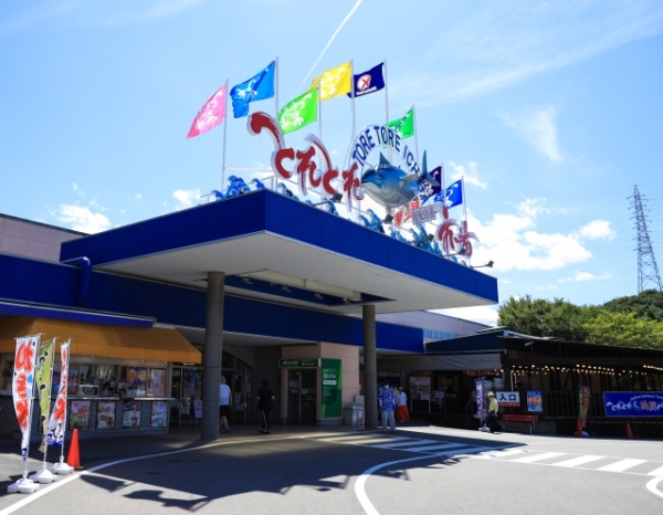 和歌山で春のおすすめのデートスポット