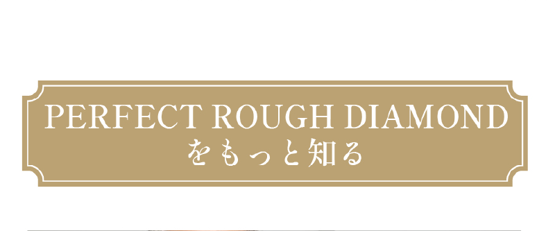 PERFECT ROUGH DIAMONDをもっと知る