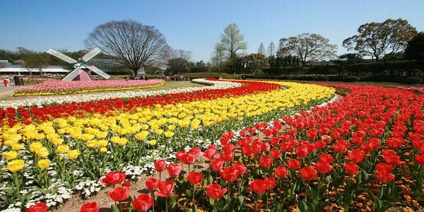 garden姫路春のおすすめプロポーズスポット