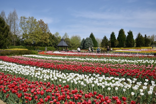 【北葛城郡】馬見丘陵公園